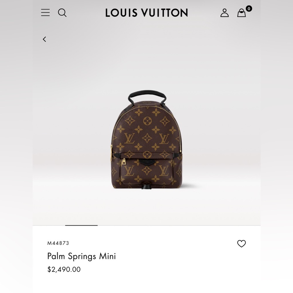 Louis Vuitton Monogram Palm Springs Mini